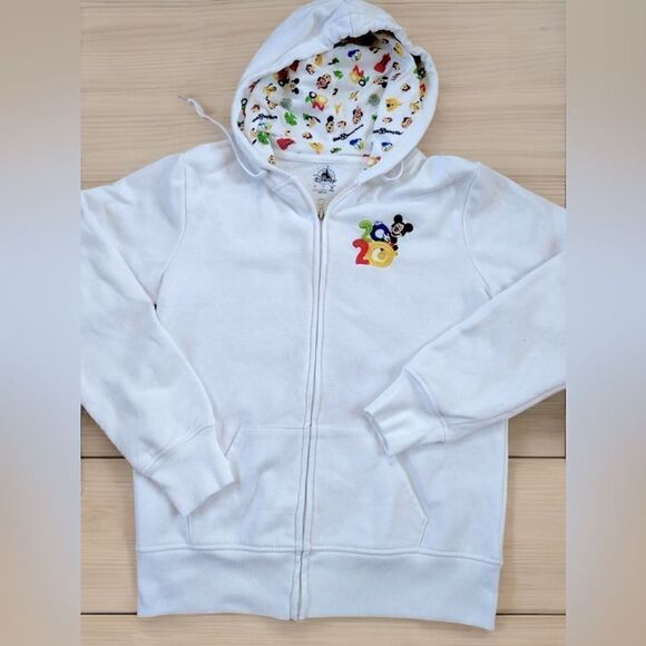 🔥🔥 DisneyParks Disneyland 2020 Hoodie Sweatshirt Jumper Zip-up jacket Size 1X - Picture 5 of 13